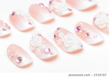 nail nail 2558787