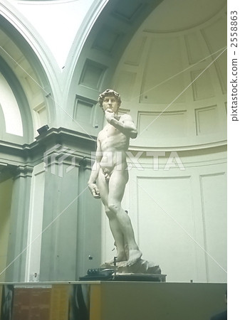 David 1995 2558863