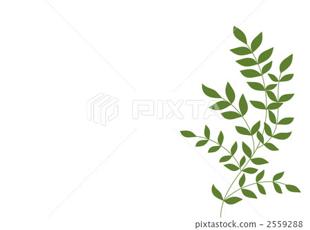 分枝葉 插圖素材 圖庫