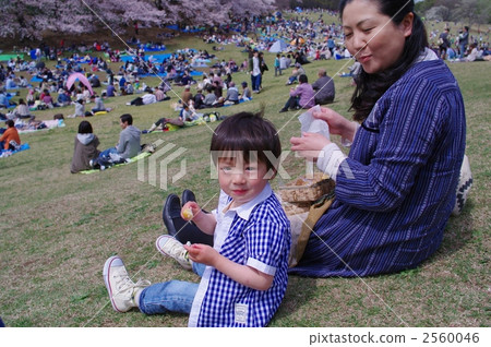 餃子比花 2560046