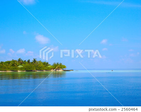 Yume no Island Yume no Island 2560464