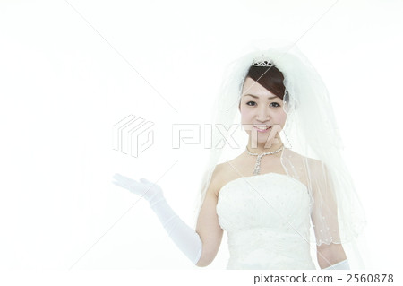 新娘 女生 女孩 2560878