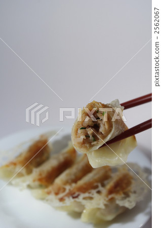 Gyoza Gyoza 2562067