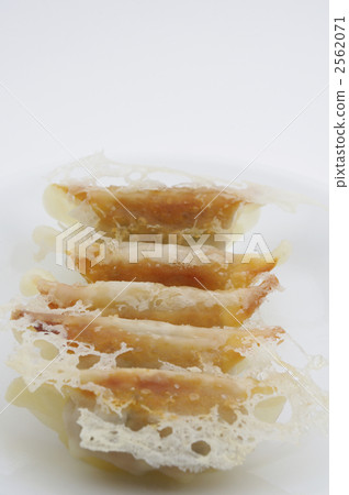 Gyoza  2562071