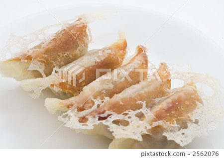Gyoza Gyoza 2562076