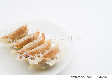 Gyoza  2562078