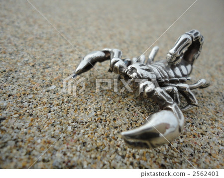 Silver accessories scorpion 2562401