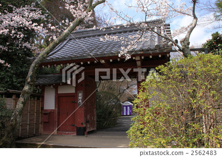 Konnoji Yoshino門 2562483