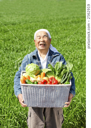 senior, joyful, rejoicing 2562919