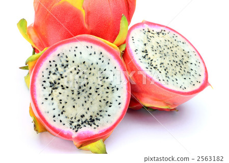  火龍果 2563182