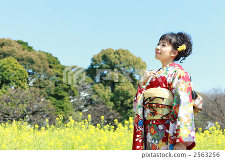 睡覺袖子形狀的一名婦女 睡覺袖子形狀的一名婦女 2563256