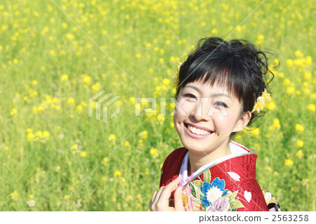 睡覺袖子形狀的一名婦女 睡覺袖子形狀的一名婦女 2563258