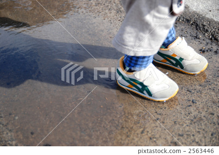 水坑和孩子 2563446