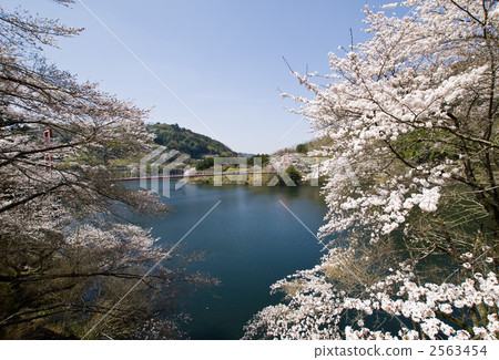 Nara Tsukigase Yawatabashi 2563454