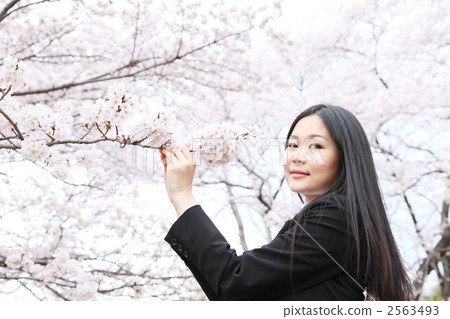 Business image 2563493