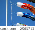 Carp streamer 2563713