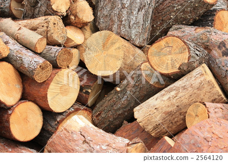 Firewood placed casually Firewood placed casually 2564120