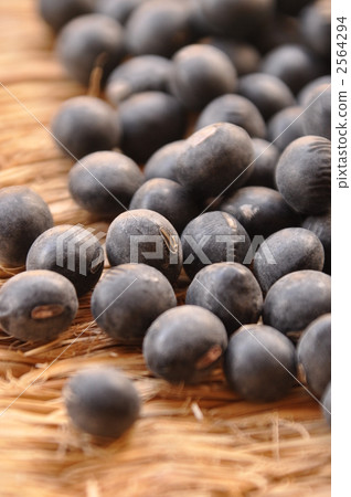 Tanba's black bean 2564294
