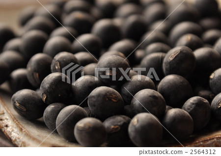 Tanba的黑豆 2564312