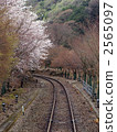 Railroad track and cherry blossoms in Koro Arashiyama 2565097