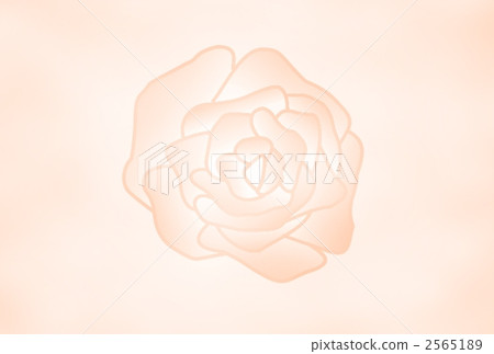 玫瑰花 花朵 花 2565189