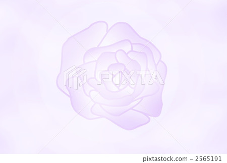 bloom, blossom, blossoms 2565191