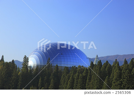 恐龍博物館 2565306