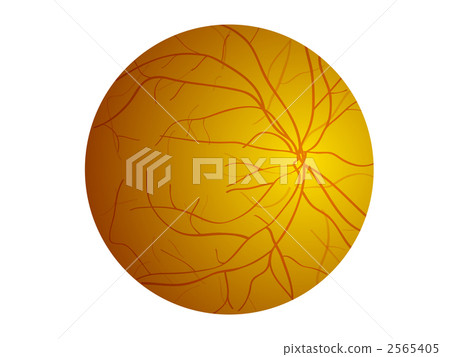 Illustration of fundus 2565405