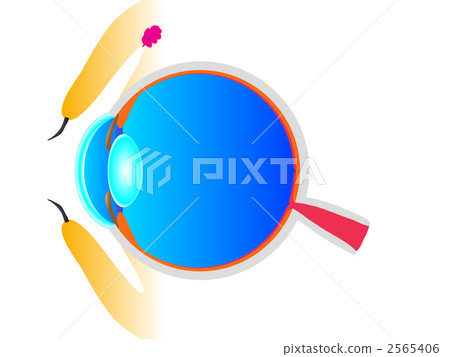 Sectional view of the eye 2565406