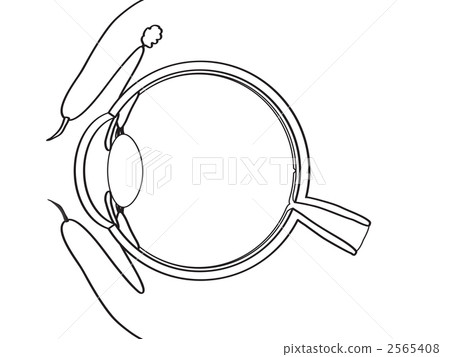 Sectional view of the eye Sectional view of the eye 2565408