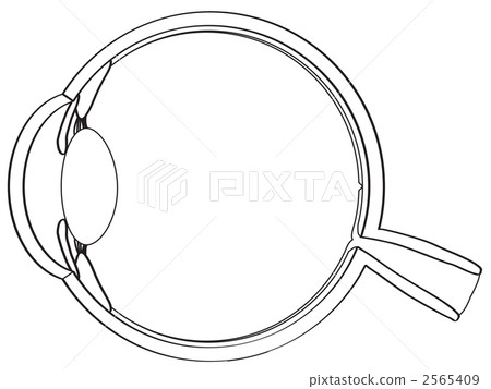 Sectional view of the eye Sectional view of the eye 2565409