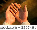 Craftsman's hand 2565481