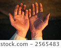 Craftsman's hand 2565483