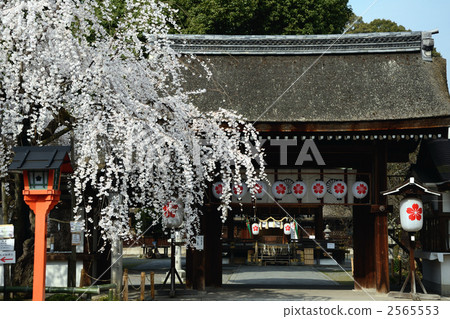 京都，平野神社和Kirakura的大門 2565553