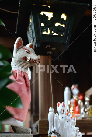 Inari God 2565567