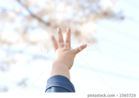 A hand that stretched to his / her grasp 2565720