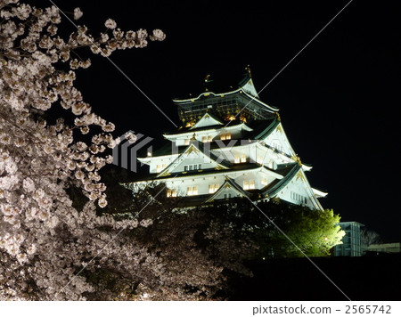 大阪城堡城堡塔和夜櫻花 大阪城堡城堡塔和夜櫻花 2565742