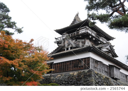 丸岡城堡 2565744