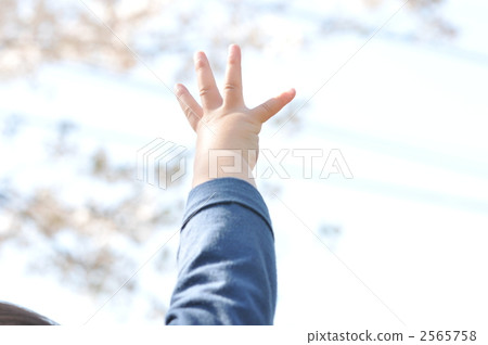 A hand that stretched to his / her grasp 2565758