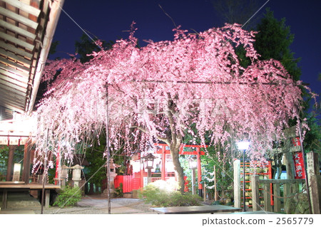 Spring water fire Tenmangu Shrine night view 2565779