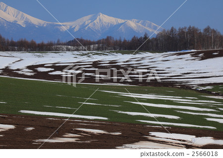 Furafara山脈和雪原 2566018