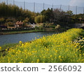 濱名湖花園公園 2566092