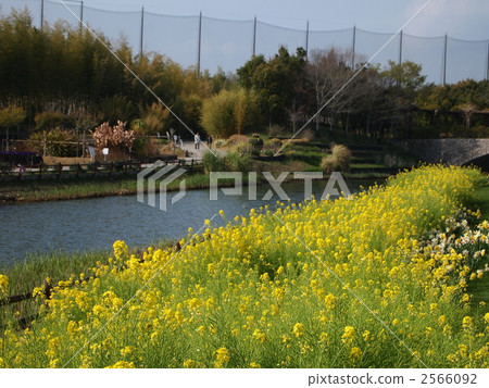 Hamana Lake Garden Park 2566092