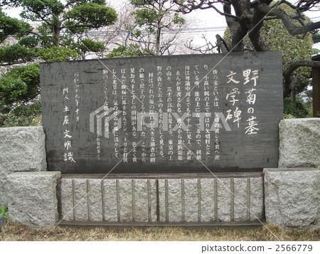 野菊花的墓文學紀念碑（千葉縣外的松戶Ichiya） 2566779