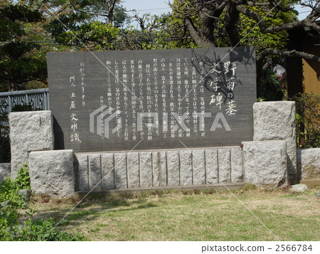 Tomb literary monument of wild chrysanthemum (Matsudo Ichiya off Chiba prefecture) Tomb literary monument of wild chrysanthemum (Matsudo Ichiya off Chiba prefecture) 2566784