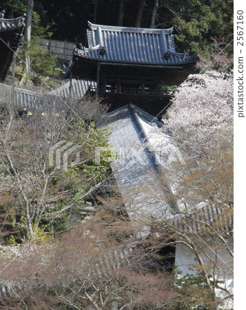 Hase Temple Bishiriden入口 2567160