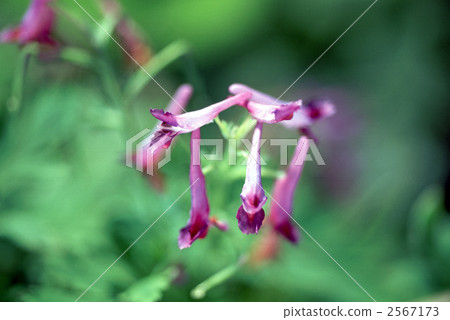 62524 embossack 62524 embossack 2567173