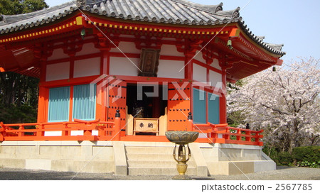 aizendo, power spot, shizuoka 2567785