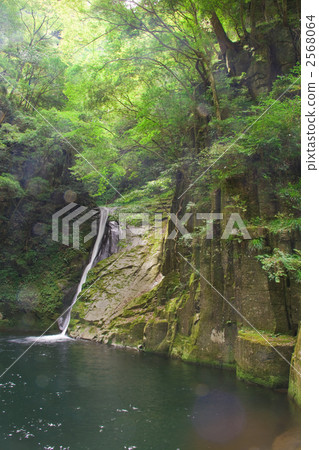 Red Eye Shimpaki Waterfall Cloth Falls 2568064