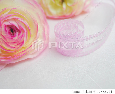 ranunculus, ribbon, ribbons 2568771